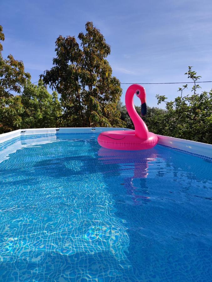 Casa Azul-Tiny House With Fantastic View, Big Outdoor Space And Pool Silves Extérieur photo